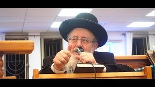 מדהים. איך נראה רב ששולט בכל התלמוד בבלי ישר והפוך