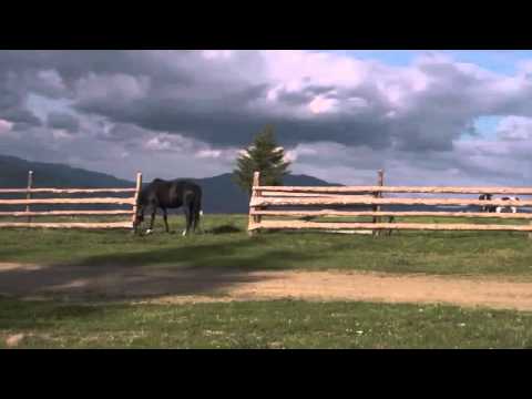 Cazare Sfantu Gheorghe - Cazat.ro