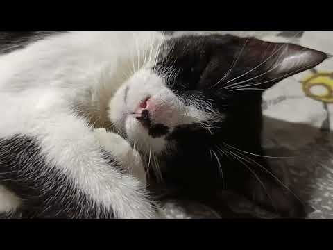 Jiyan aur mahfil 💕🥰