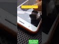 Repair any damaged & cracked glass in minutes! For all types of📲phone screen🚗wind shield cracks