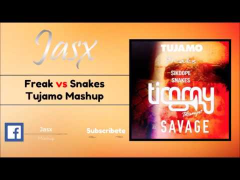 Freak vs Snakes ( Tujamo Slam Koningsdag Mashup 17' )