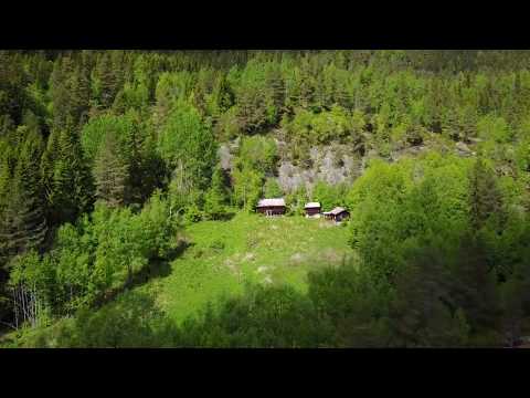 Mjaugeto i Gransherad