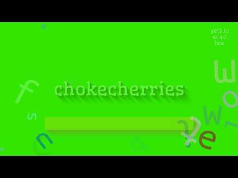 How to say "chokecherries"! (High Quality Voices)