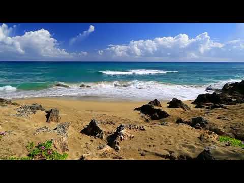 #1.  101 Strings; Honor Marriage in music with Prof. Howdy Share an Album USA Classics/ flat earth