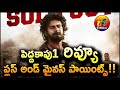 Peddha Kapu 1 Review | Peddha Kapu 1 Movie Review | Virat Karrna | Pragati | Srikanth Addala