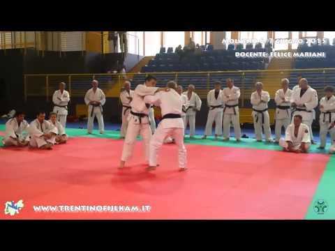 16   FurikoTomoe Nage