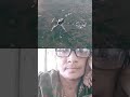 Rafael Hai Lala Yah Dance Nahi Tandav Karta Hai