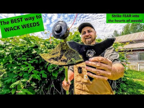 Best STIHL Weed Eater Head- Line Trimmer Vs Polycut Vs Metal Blades - It's a Weed Wacker Showdown!