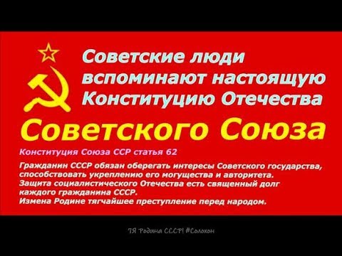 ВОЛОСЫ ДЫБОМ ! Передача ТВ 2001 год Только факты