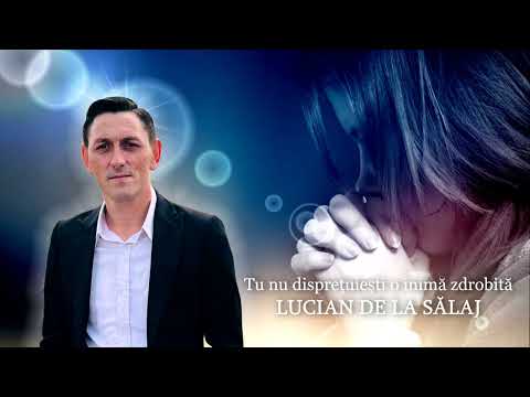 LUCIAN DE LA SĂLAJ - Tu nu disprețuiești o inimă zdrobită (LIVE) Cover - Marian din Bărbulești