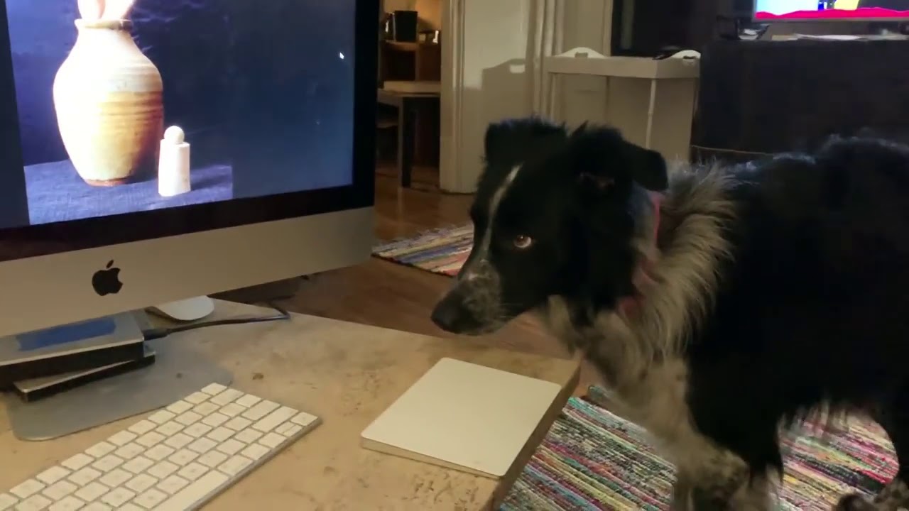 Пес, который 