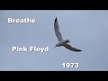 Breathe Lyric Video  Pink Floyd 1973