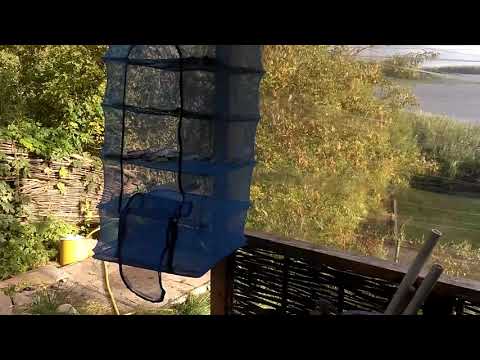 Сушилка для рыбы. Как уберечь вяленную рыбу от мух и ос.