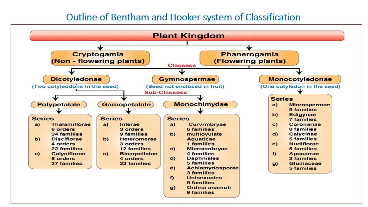 Watch video Bentham and Hooker System of classification Now Bentham and Hooker System of classification