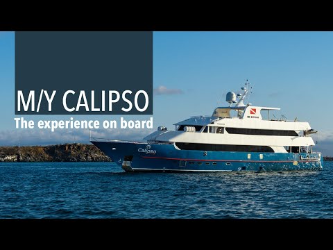 Cruise video 1