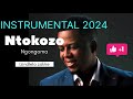 Ntokozo Ngongoma_ Izindlela zakhe_ INSTRUMENTAL & koreoke