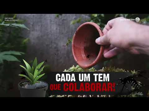 Vamos acabar de vez com a DENGUE da nossa cidade! 