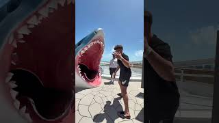 2025 was the year of cruising. 🤯