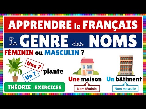 Le genre des noms || Féminin ou masculin || Français