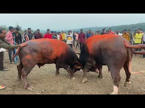 Kalu vr Rama amravati