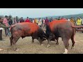 Kalu Vr Rama Amravati