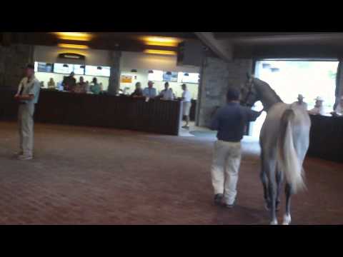2010 Keeneland September Yearling Sale