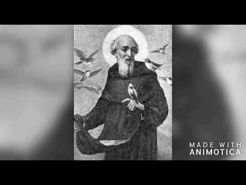 Saint of the Day: June 10th - Blessed Henry of Treviso