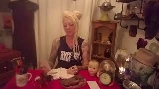 Download Lagu Wild unknown animal spirit deck SPIDER, HORSE, CROCODILE. THE TAXIDERMY WITCH Thumbnail