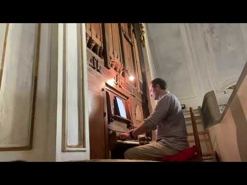 Bernardo Pasquini: Variazioni per il Paggio Todesco, Michael Borgstede - Organ (made from wood)