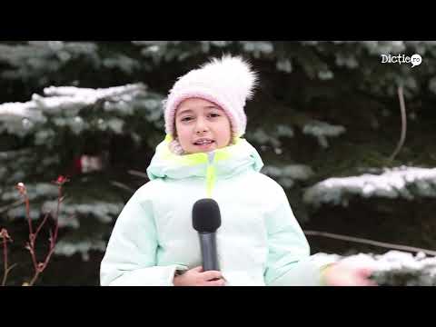 Recomandări de iarnă la munte - Ana Tintarcu