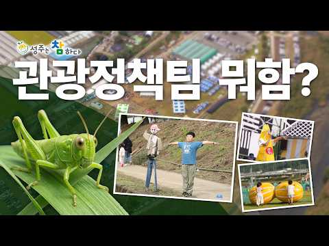 [성주는참하다] EP.01 성주군의 다양한 행사를 책임지는 관광정책팀!