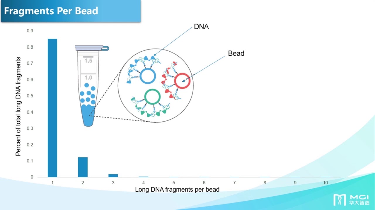 Webinar: MGI Single Tube Long Fragment Read (stLFR) Technology