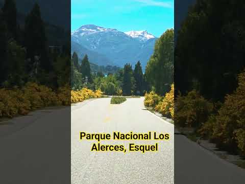 😱 “No esperaba esto al entrar a Los Alerces… ¡qué locura de paisaje!” #esquel  #chubut #Alerces