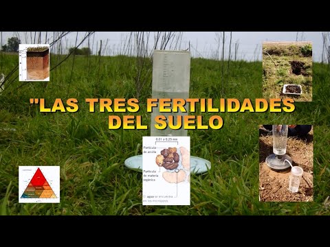 , title : 'Fertilidad de suelos'