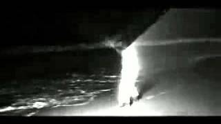 She&#39;s a Star - Will.I.Am