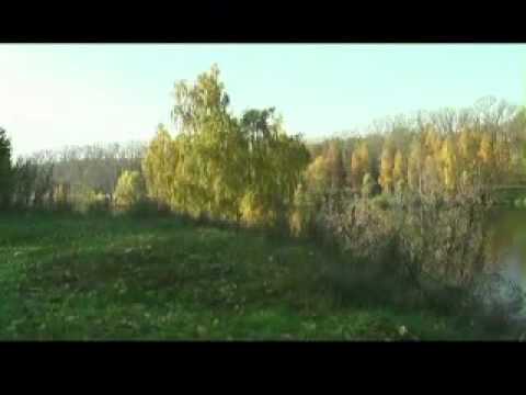 Людмила Зыкина Не будите журавли.flv