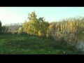 Людмила Зыкина Не будите журавли.flv 
