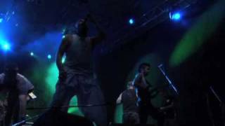 Kultur Shock - Exit Festival 2008 - Duna