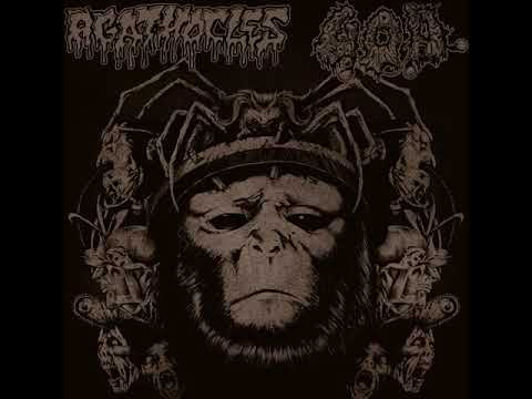 Agathocles : Chronic Death