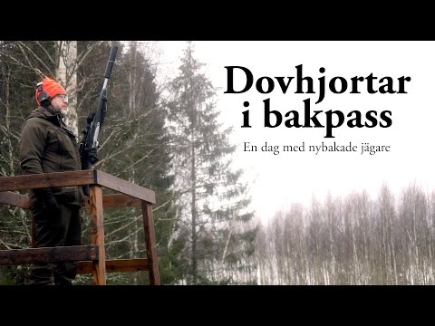 Jaktresan: Drevjakt - Dovhjortar i bakpass
