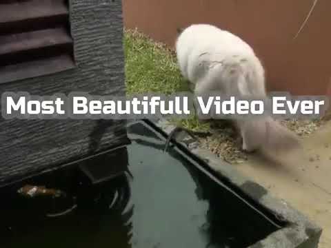 We should be helpful to to each other...