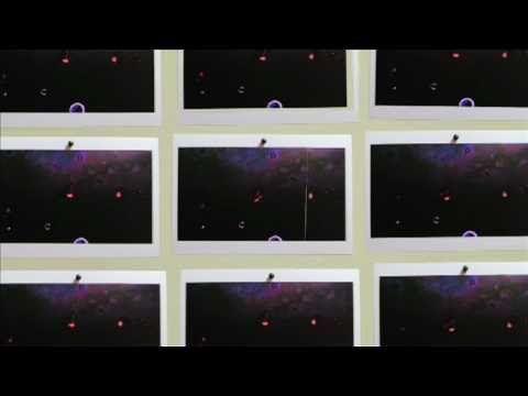 TREI ft. STATE OF MIND - THUNDER BISCUIT ***OFFICAL VIDEO***