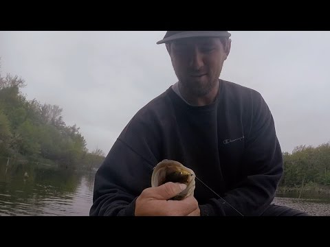 GoPro: Frankie Harvey - Best Catch 05.22.15 - Fish