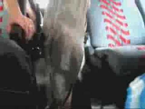 Sjors Hoek staat in z'n gescheurde broek ^^