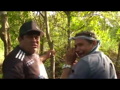 Parazinho & Damião pego pelos índios em Agora Bem Ai! 7. #humor #comedia #netiflix #memes