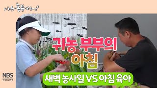 [나는농부다 263회] 귀농 부부의 아침 (새벽 농사일 VS 아침 육아)