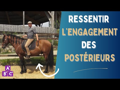 ⭐Ressentir l'engagement et la pousser des postérieurs de son cheval ⭐