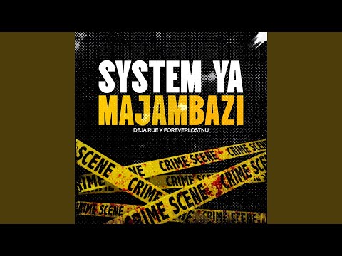 SYSTEM YA MAJAMBAZI