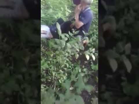 БЕНОМУС ДУХТАРИ УЗБЕК ТАЧОВУС КАРДАН