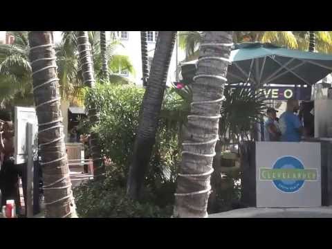 The Clevelander - South Beach